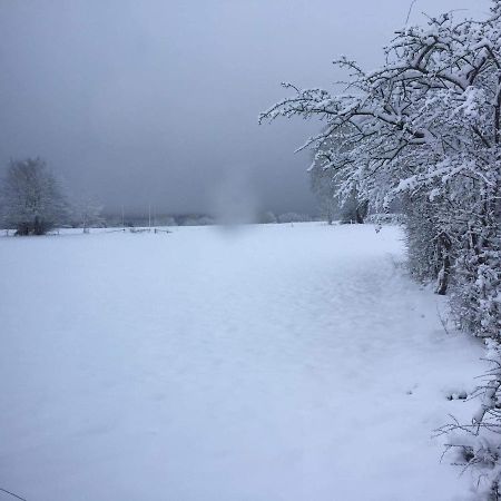 Le Diamanster Francorchamps Villa Stavelot Eksteriør bilde